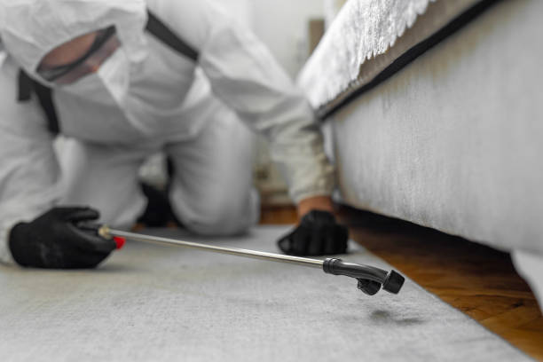 Professional Termite Control technician working in Saratoga Springs, UT