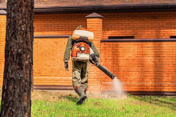 Trusted Termite Control service in Saratoga Springs, UT - Nex Pest Control